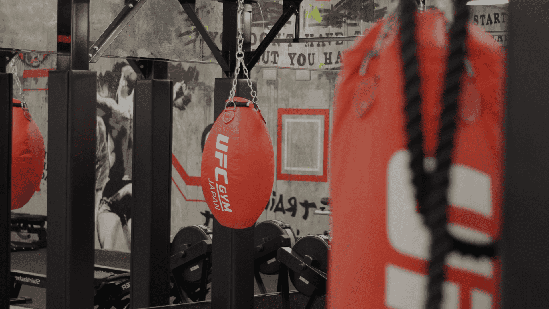 UFC GYMのフランチャイズキービジュアル